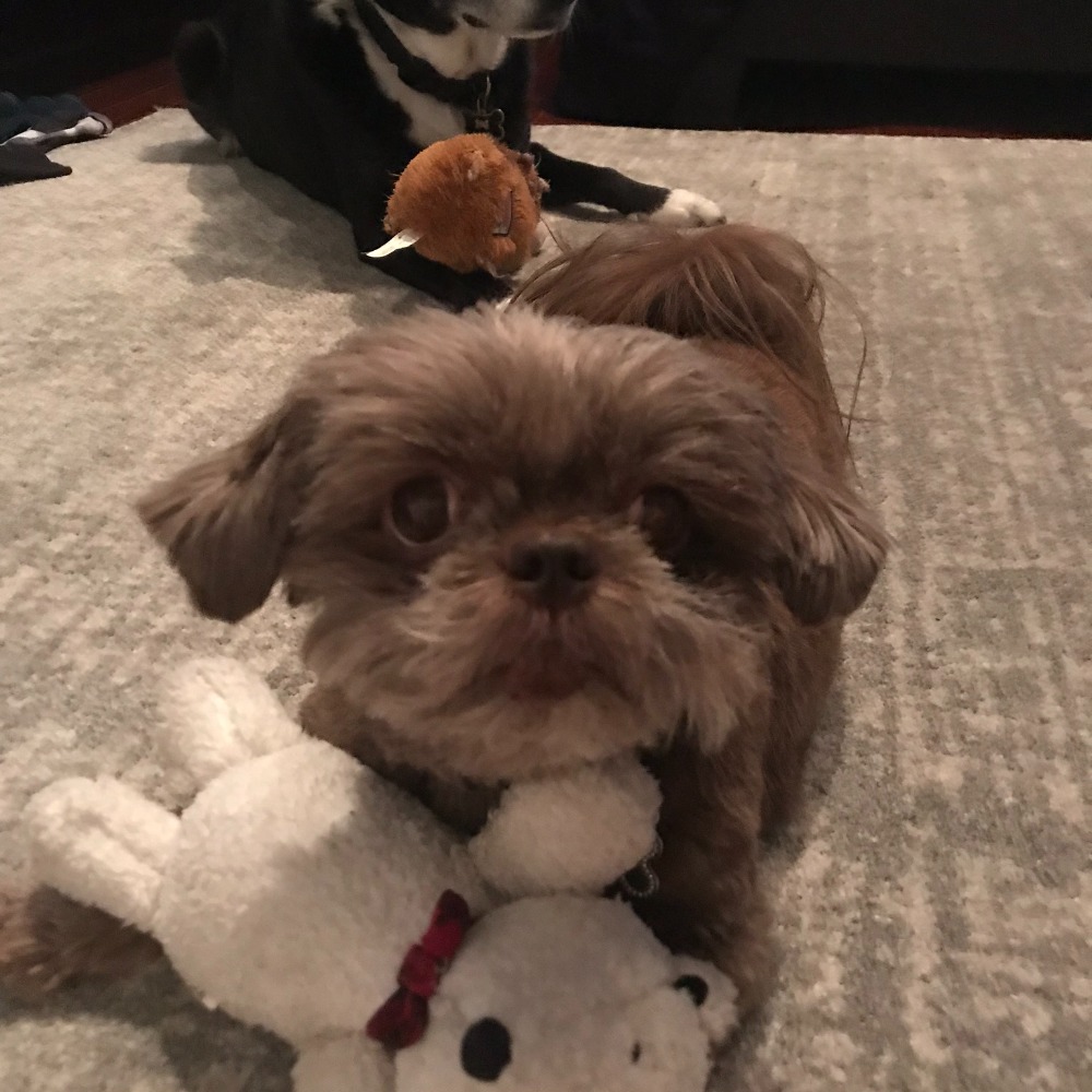 Meet your Posher, Jennifer